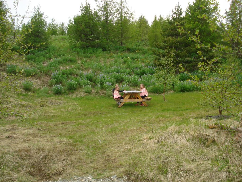 Vinland Camping Pods Egilsstadir Szoba fotó
